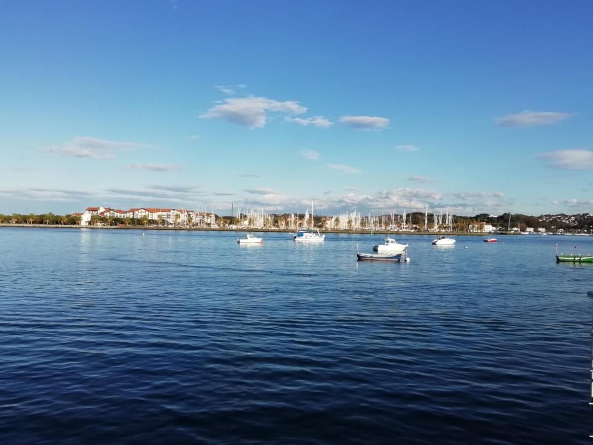 Hendaye Plage Logement Entier Avec Jardin Apartment Bagian luar foto
